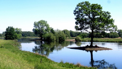 Campen und Schlemmen 2026