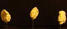 kop017_Indi_031_032_033