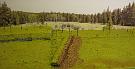 03_Staebe_fuer_Gebuesch